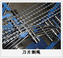 護欄網(wǎng),金剛網(wǎng),聲屏障,石籠網(wǎng),框架護欄網(wǎng),市政護欄網(wǎng)