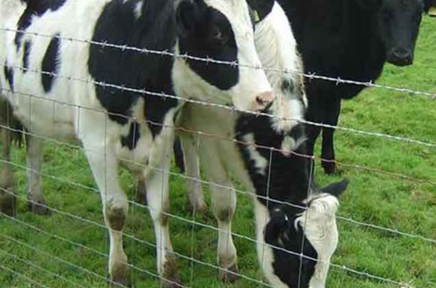 1524382173991409.png 護欄網,市政護欄網,欄網廠家