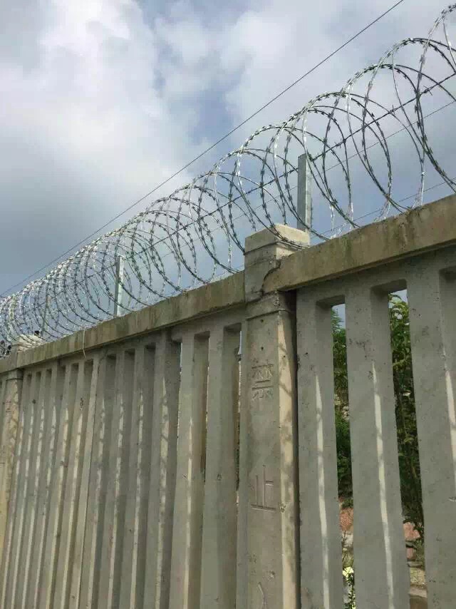 1568931447520719.jpg 護欄網,市政護欄網,欄網廠家