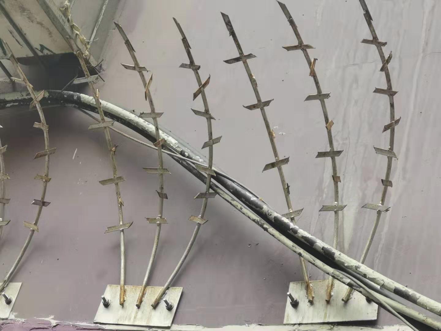 1568931447942322.jpg 護欄網,市政護欄網,欄網廠家