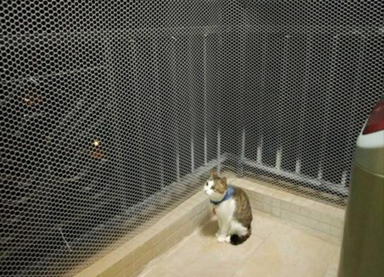 兒童防護網 兒童防護網