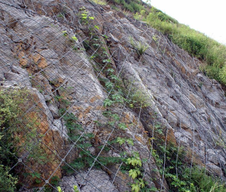 邊坡被動防護網