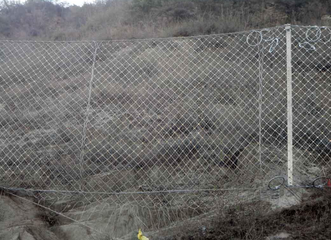 邊坡被動防護網