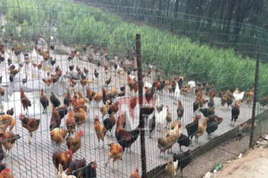 養(yǎng)殖圍網(wǎng)規(guī)格